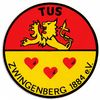 Logo JSG Zwingenberg/Alsbach
