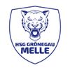 Logo HSG Grönegau-Melle