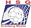 Logo HSG Grünberg/Mücke