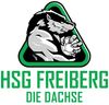 Logo HSG Freiberg