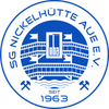 Logo NSG EHV/NH Aue