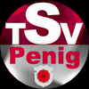 Logo TSV Penig