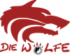 Logo SF 09 Puderbach