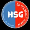 Logo HSG Bayerwald