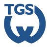 Logo TGS Walldorf 1