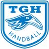 Logo TG Höchberg
