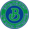Logo Burgstädter HC