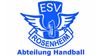 Logo ESV Rosenheim II