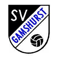 SV Gamshurst