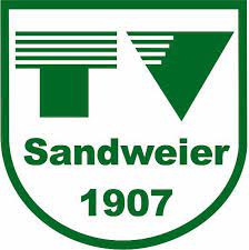 Logo TVS 1907 Baden-Baden 4