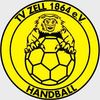 Logo TV Zell