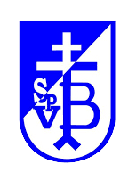 SV Bissingen