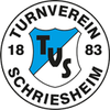 Logo TV Schriesheim