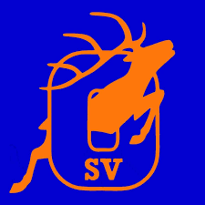 SV LB-Oßweil